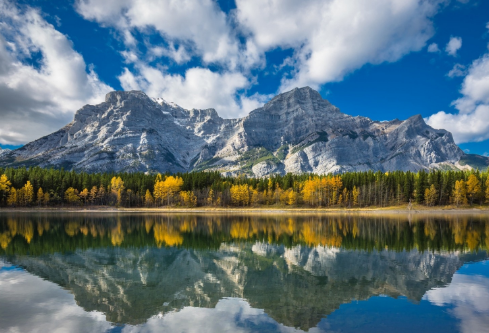 1705708403219160.png image.png