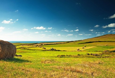 1705709065111095.png image.png