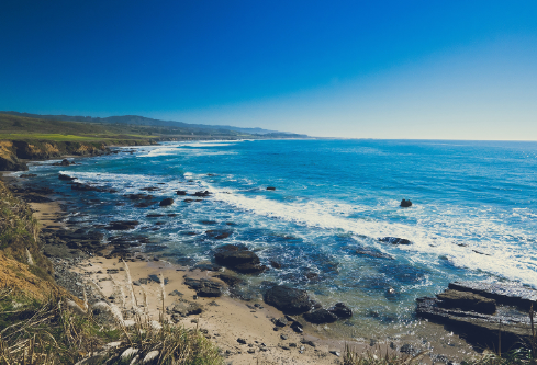 1705709396118767.png image.png