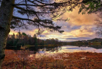 ​女生向男生表白的短句(实用40句)