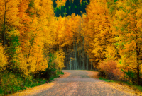 ​夸偶像的句子(通用50句)