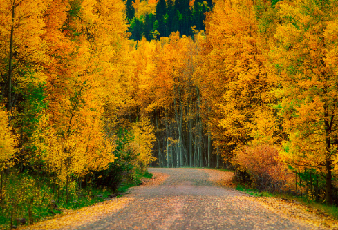 1705710719562554.png image.png