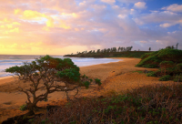 ​唯美散文句子(优选50句)