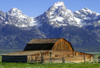 ​好的英语短句(通用80句)