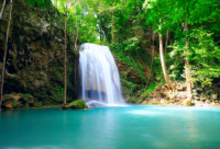 ​家家户户的句子(推荐50句)