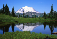 ​幸福的感觉句子(精选30句)