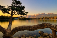 ​对爱人说的暖心话短句(共50句)