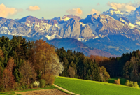 ​年轻心态的句子(50句)