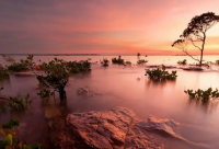 ​对兄弟说的真心话短句(实用49句)