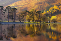 ​励志文艺小清新短句子(优选50句)