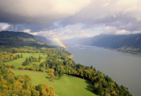 ​形容女人高贵的句子(50句)