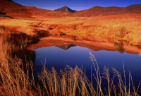 ​厌世简短消极的句子(汇总1句)