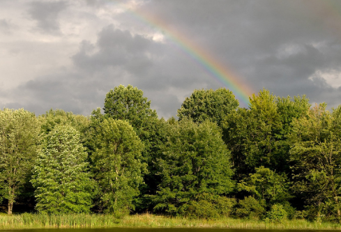 1705744119643066.png image.png