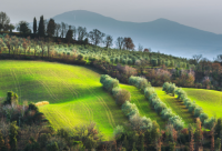 ​开心相聚的句子(共40句)