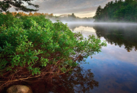 ​发说说关于友谊的短句(汇总50句)