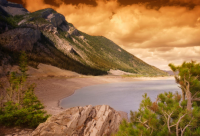 ​告白的短句(优选50句)