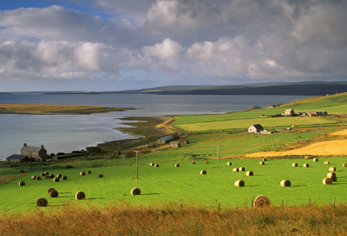 1705746937102570.png image.png