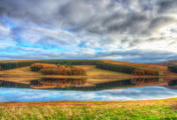 ​奇怪极了补充句子(精选40句)