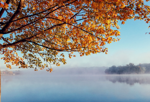 1705748595760328.png image.png