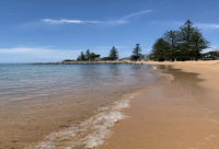 ​幽默的短句子(共30句)