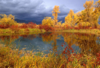 ​名言警句短句(共50句)