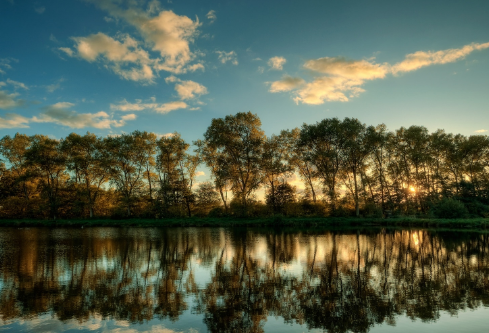 1705750918117308.png image.png