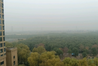 ​十句好句子短的(精选20句)