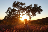 ​幽默的形容冷的句子(必备40句)
