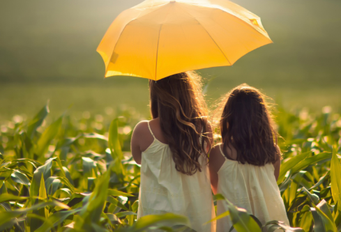 1705769215112416.png image.png