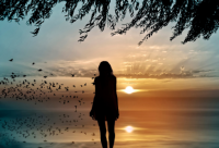 ​又短又可爱的网名(161个)