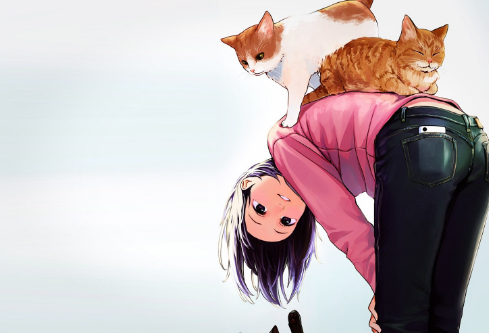 1706318195872254.png image.png