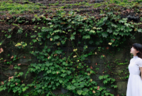 ​可爱的名字带静的网名(共123个)