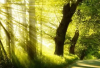 ​早上正能量的励志语录 正能量的励志语录(精选77句)