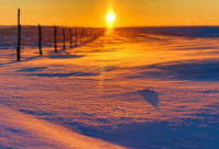 ​靠谁都不如靠自己语录(精选63句)