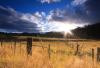 ​祝朋友生日文案高级语录(精选66句)