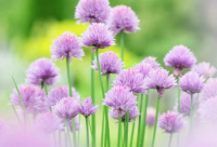 ​非主流经典语录 非主流经典语录字体(精选80句)