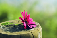 ​失恋语录 失恋语录痛(精选76句)