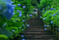 ​教育格言经典语录 蒙氏教育格言 经典语录