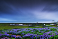 ​冯唐经典语录大全 冯唐成事的经典语录(精选55句)