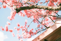 ​加班励志语录 加班奋斗的励志语录(精选77句)