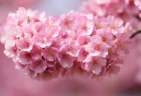 ​20条感悟生活的人生励志语录