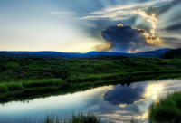 ​沉筱之经典语录 青云台沉筱之经典语录(精选52句)