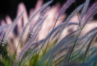 ​爱情公寓曾经典语录感人的台词(精选82句)