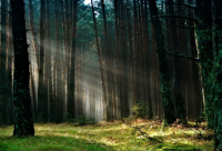 ​麦兜的经典语录 麦兜经典语录马尔代夫(精选58句)