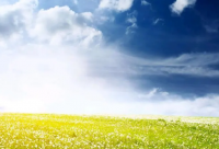 ​雷人爆笑语录100句