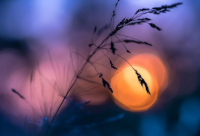 ​幻城经典语录 幻城经典语录大全(精选43句)