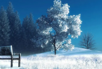 ​名人经典语录摘抄大全(精选76句)