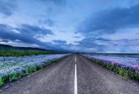 ​女人励志霸气语录经典 女人霸气励志语录短句