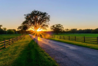 ​女人励志霸气语录经典 女人励志霸气语录短句