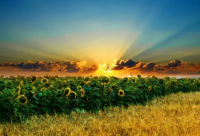 ​爱国语录文案 爱国长文案(精选76句)